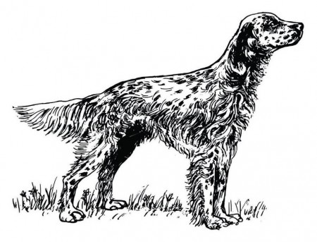 Setter