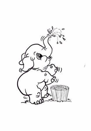Elefant